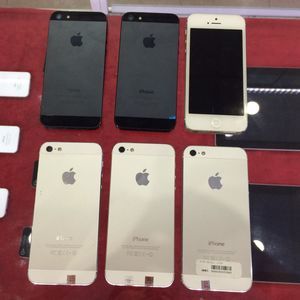 Meet your Posher, Hải phong